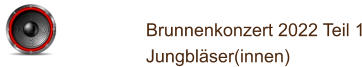 Brunnenkonzert 2022 Teil 1 Jungbläser(innen)